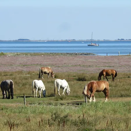 Appartement Haus Nina 153 - 3 Juist